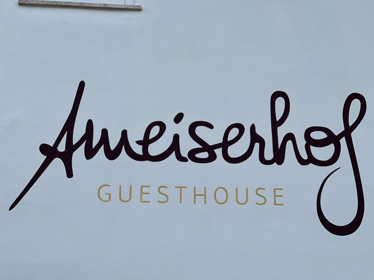 Ameiserhof Guesthouse Коллальбо Екстер'єр фото